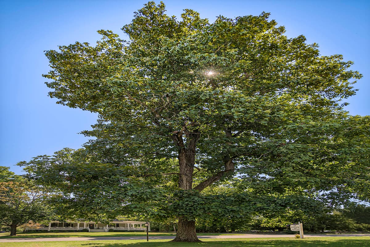 Scenic outdoor landscapes near West Lane Inn